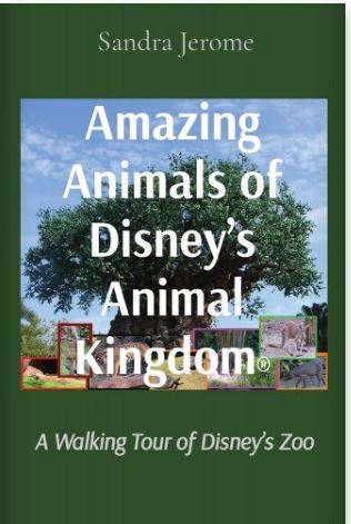 Amazing Animals of Disney's Animal Kingdom